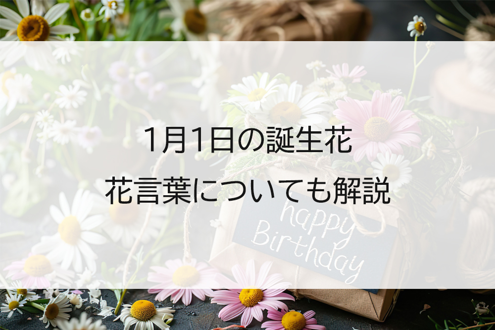 1月1日の誕生花は?花言葉もあわせて紹介
