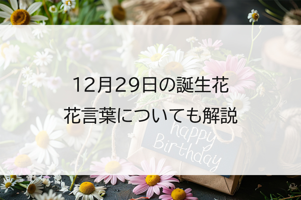 11月25日の誕生花は?花言葉もあわせて紹介