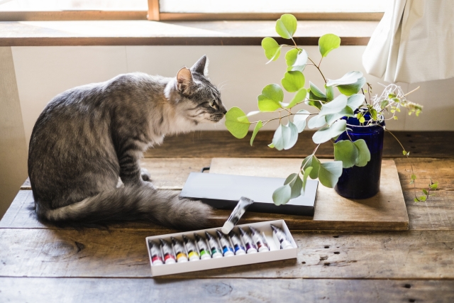 ペットの猫と観葉植物