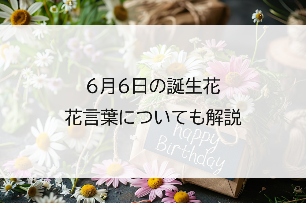 6月6日の誕生花は?花言葉もあわせて紹介