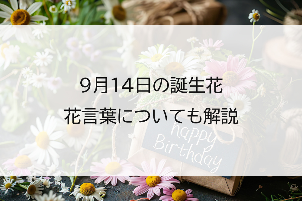 9月14日の誕生花は?花言葉もあわせて紹介