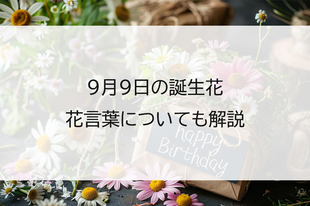 9月9日の誕生花は?花言葉もあわせて紹介